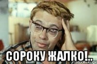  Сороку жалко!..