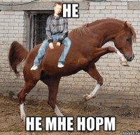 Не НЕ мне норм