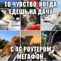 То чувство, когда едешь на дачу с 4g роутером мегафон.