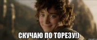 Скучаю По ТОрезу!)