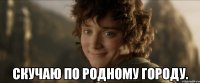  Скучаю По родному городу.