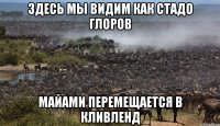 Здесь мы видим как стадо глоров Майами перемещается в Кливленд