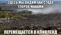Здесь мы видим как стадо глоров Майами перемещается в Кливленд