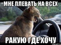Мне плевать на всех Ракую где хочу