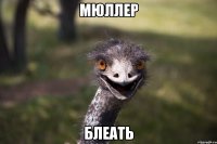 Мюллер Блеать