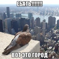 ебать!!!!!!! вот это город