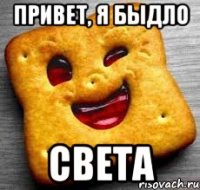 Привет, я быдло Света
