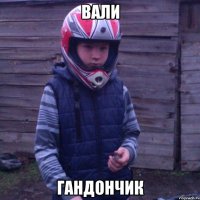 ВАЛИ ГАНДОНЧИК
