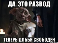 да, это развод теперь длбби свободен
