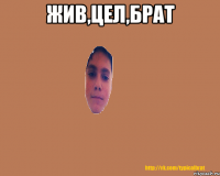Жив,цел,брат 