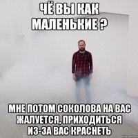 Чё вы как маленькие ? Мне потом Соколова на вас жалуется, приходиться из-за вас краснеть