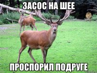 Засос на шее Проспорил подруге