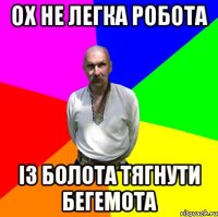 ох не легка робота із болота тягнути бегемота