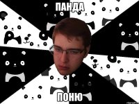 ПАНДА поню