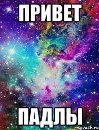 Привет падлы