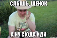 Слышь, щенок А ну сюда иди