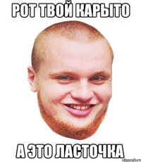 Рот твой карыто а это ласточка