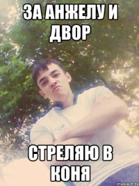 ЗА АНЖЕЛУ И ДВОР СТРЕЛЯЮ В КОНЯ