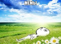 Мемы 