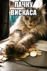 пачку вискаса 