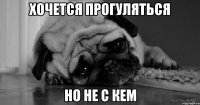 хочется прогуляться но не с кем