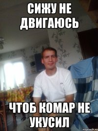 сижу не двигаюсь чтоб комар не укусил