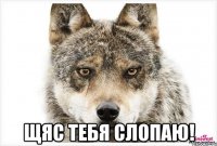  Щяс тебя слопаю!