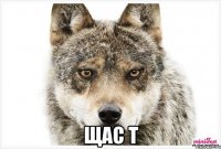  Щас т