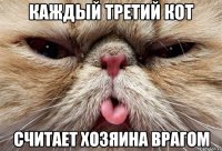 КАЖДЫЙ ТРЕТИЙ КОТ СЧИТАЕТ ХОЗЯИНА ВРАГОМ