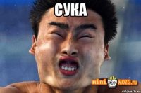 Сука 