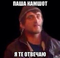 паша камшот я те отвечаю