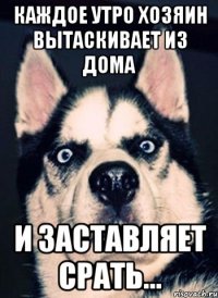 Каждое утро хозяин вытаскивает из дома и заставляет срать...
