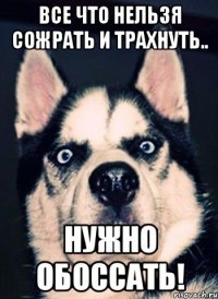 Все что нельзя сожрать и трахнуть.. нужно обоссать!