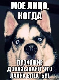 МОЕ ЛИЦО, КОГДА ПРОХОЖИЕ ДОКАЗЫВАЮТ ЧТО ЛАЙКА БЛЕАТЬ!!!