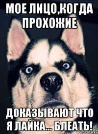 МОЕ ЛИЦО,КОГДА ПРОХОЖИЕ ДОКАЗЫВАЮТ ЧТО Я ЛАЙКА... БЛЕАТЬ!