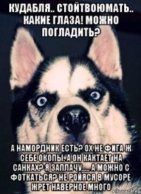 кудабля.. стойтвоюмать.. какие глаза! можно погладить? а намордник есть? ох не фига ж себе окопы. а он кактает на санках? я заплачу..... а можно с фоткаться? не ройяся в мусоре жрет наверное много