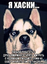 Я ХАСКИ... ЛЮБЛЮ ПОБЕГАТЬ С ДРУЗЬЯМИ,МНОГО ГУЛЯТЬ И ИГРАТЬ С ХОЗЯИНОМ. ПИЗДУЙТЕ САМИ НА СЕВЕР И ХУЯЧТЕ ТАМ ПО ТУНДРЕ....