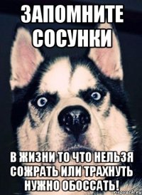 Запомните сосунки в жизни то что нельзя сожрать или трахнуть нужно обоссать!