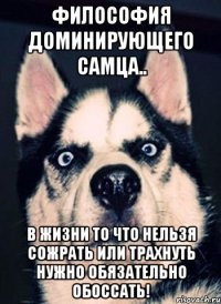 философия доминирующего самца.. В жизни то что нельзя сожрать или трахнуть нужно обязательно обоссать!