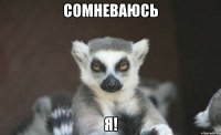 Сомневаюсь Я!