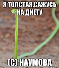 я толстая,сажусь на диету (с) Наумова