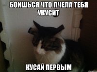 Боишься что пчела тебя укусит Кусай первым