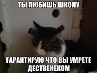 Ты любишь школу Гарантирую что вы умрете дественеком