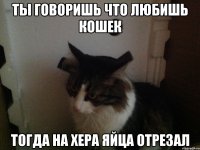 Ты говоришь что любишь кошек Тогда на хера яйца отрезал