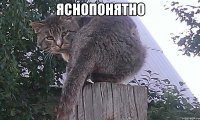 Яснопонятно 