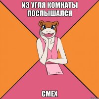 Из угля комнаты послышался смех