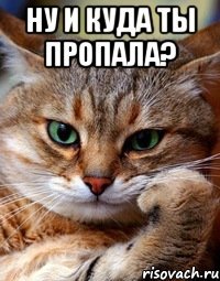 ну и куда ты пропала? 