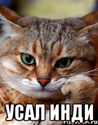  усал инди