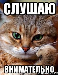 слушаю внимательно