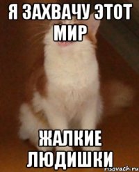 Я захвачу этот мир жалкие людишки